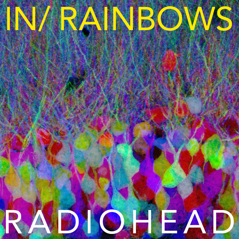 how much money did radiohead make on in rainbows